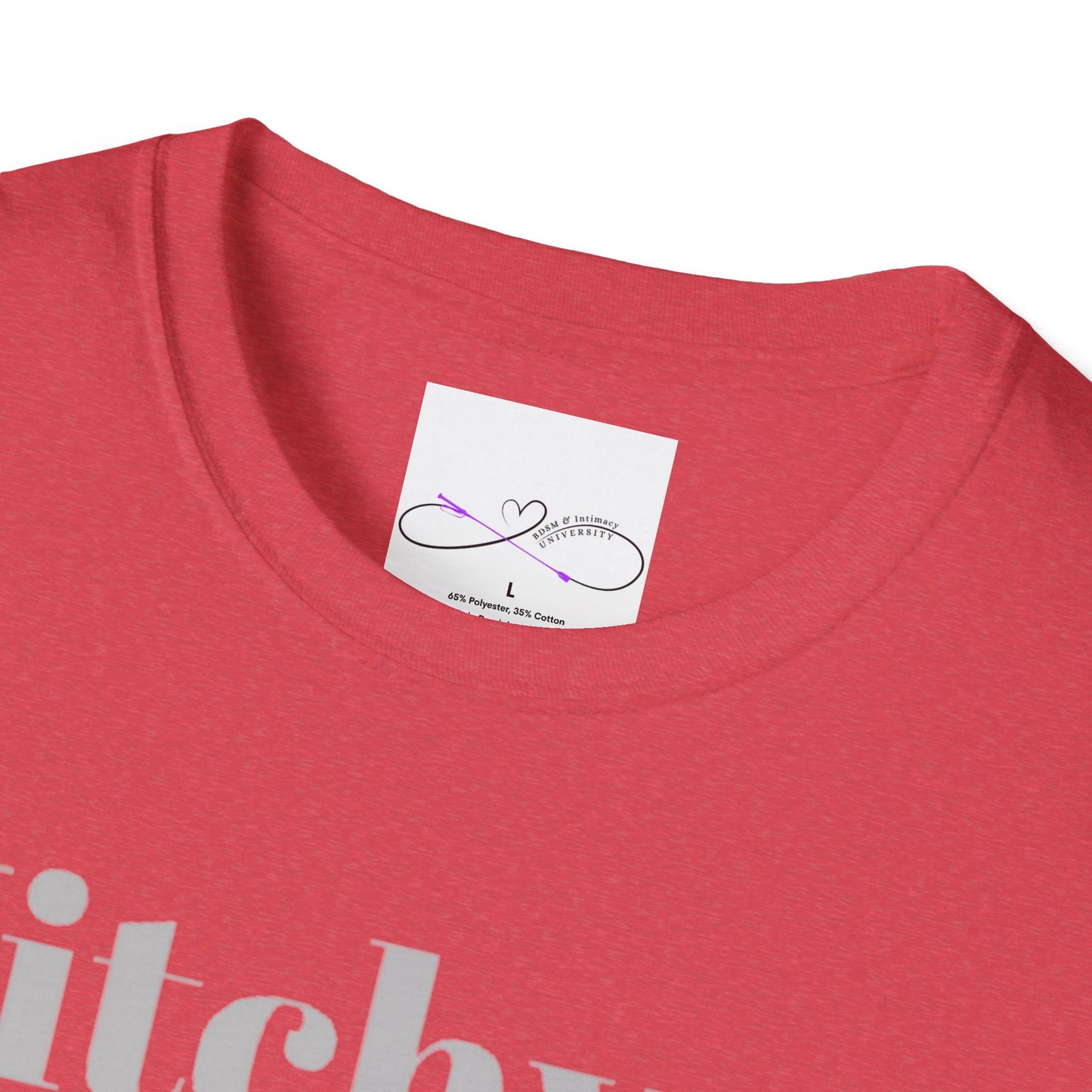 Witchy, Switchy, Kinky, and Queer Unisex Softstyle T-Shirt