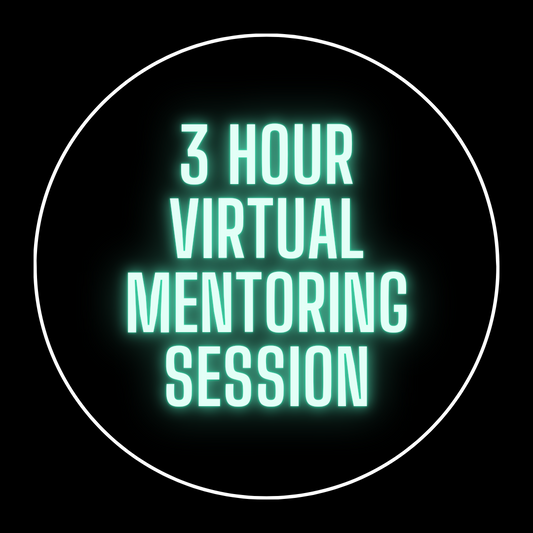 3 Hour Virtual Mentoring Session